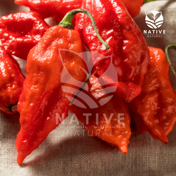 bhut_jolokia_chilli_native_of_natural