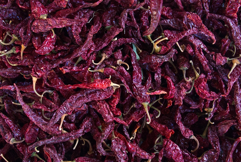 kashmiri chilli