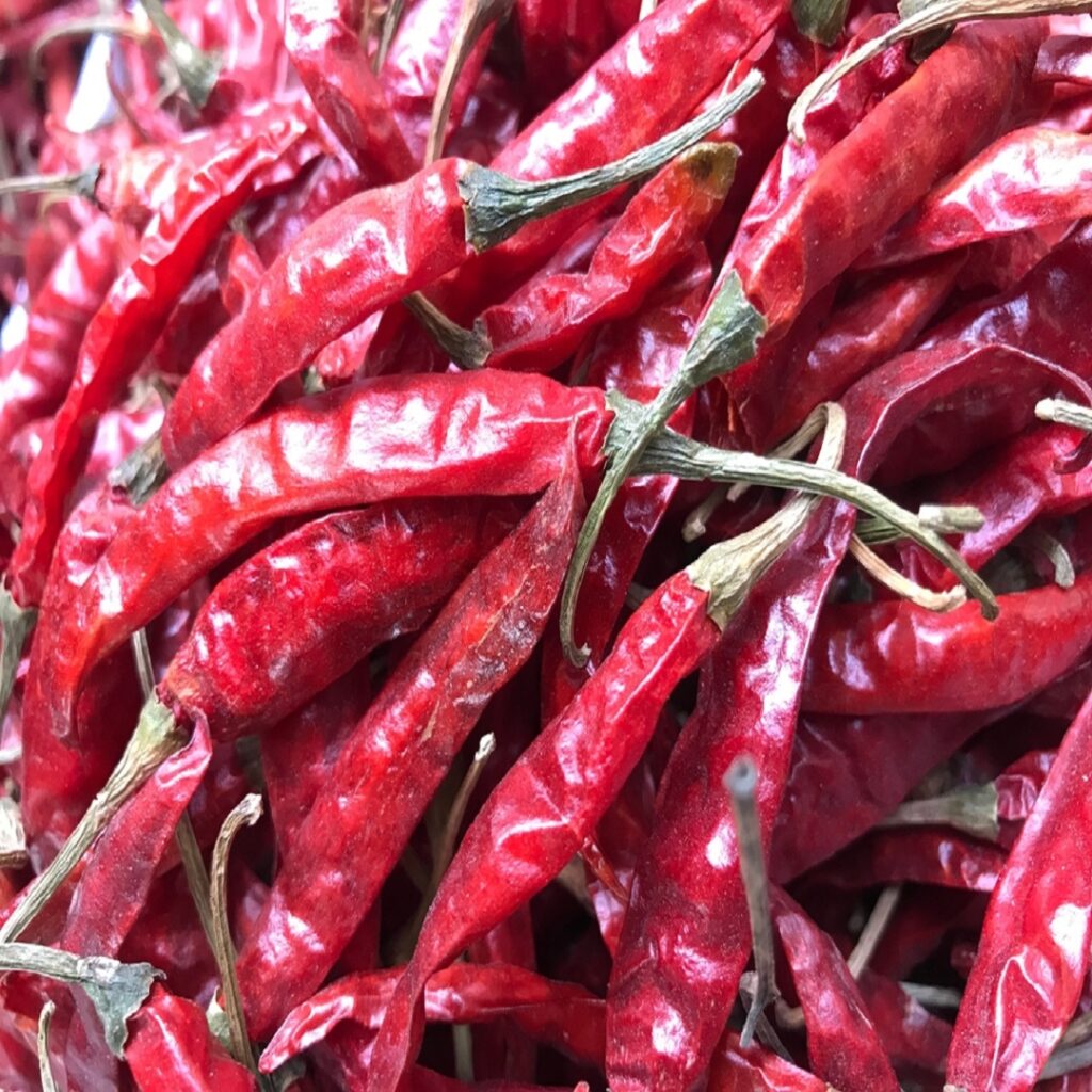 kashmiri red chilli