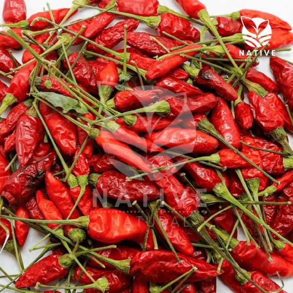 kanthari_chilli_native_of_natural