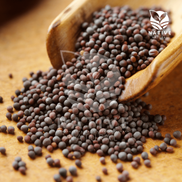 Black_Mustard_Seed_Native_of_Natural