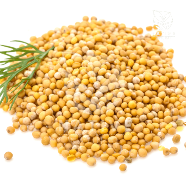 White_Mustard_Seed_Native_of_Natural