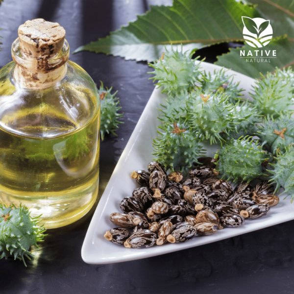 black_castor_oil_native_of_natural