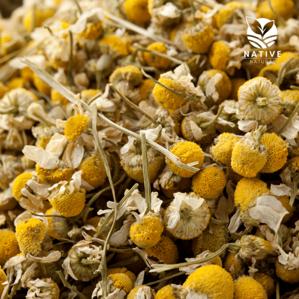 chamomile_flower_native_of_natural