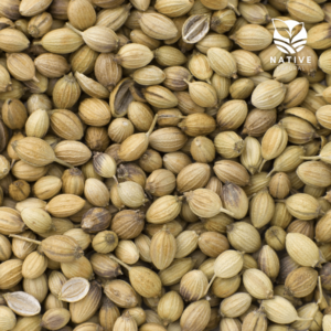 coriander_seeds_native_of_natural