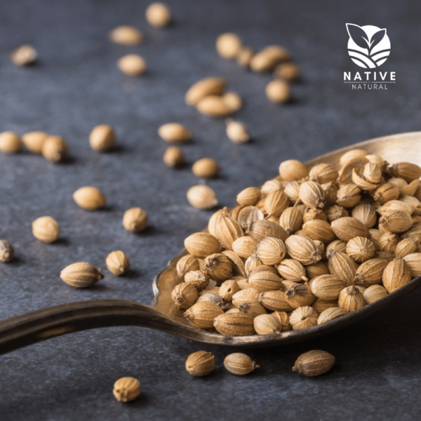 coriander_seeds_native_of_natural