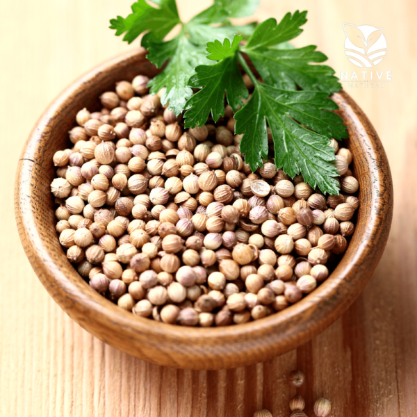 coriander_seeds_native_of_natural