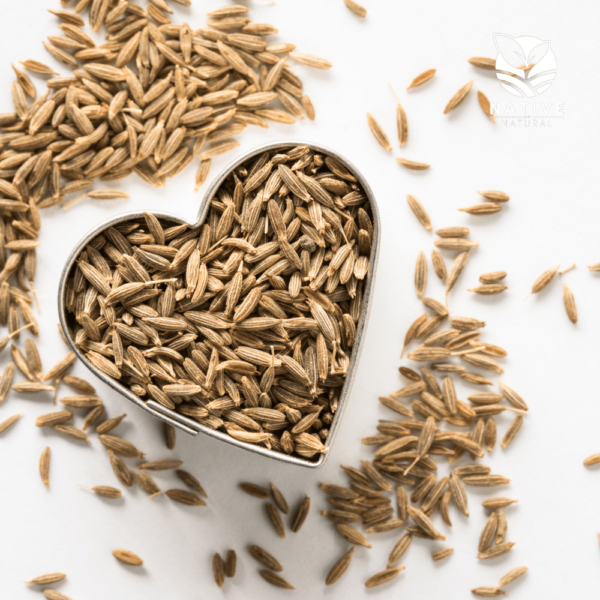 cumin_seeds_native_of_natural