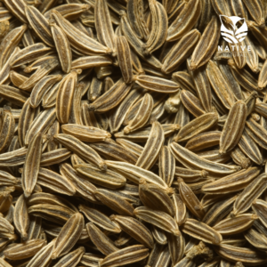 cumin_seeds_native_of_natural