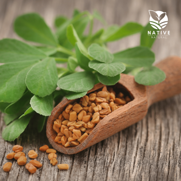 fenugreek_seeds_native_of_natural