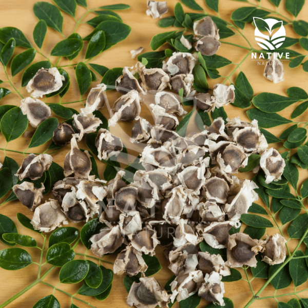 moringa_seeds_native_of_natural