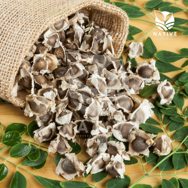 moringa_seeds_native_of_natural