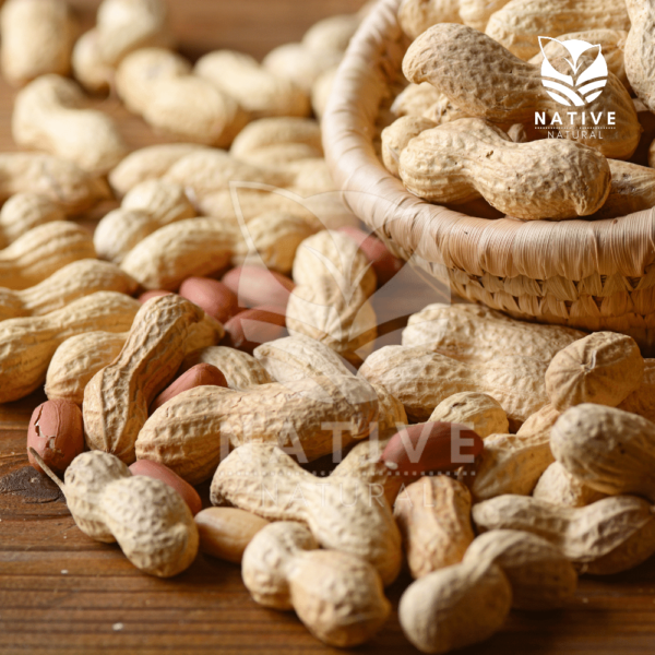 peanut_seed_native_of_natural