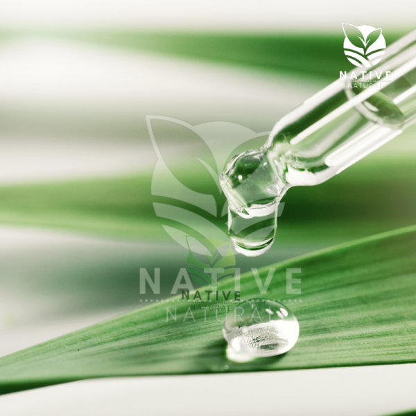 Cajeput_Essential_Oil_Native_of_Natural