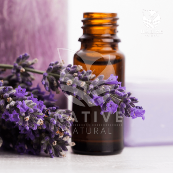 Lavender_Essential_oil_Native_of_Natural