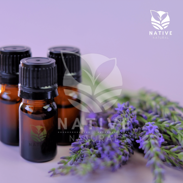 Lavender_Essential_oil_Native_of_Natural