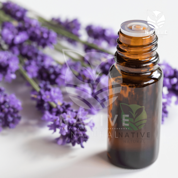 Lavender_Essential_oil_Native_of_Natural