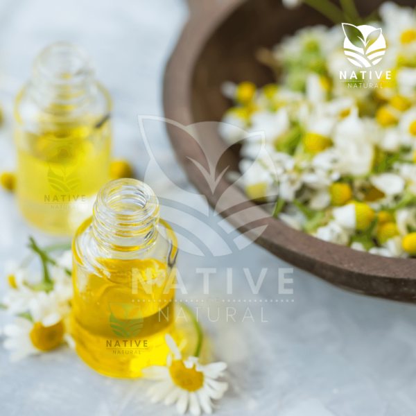 chamomile_essential_oil_native_of_natural