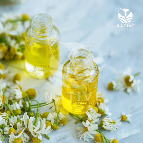 chamomile_essential_oil_native_of_natural