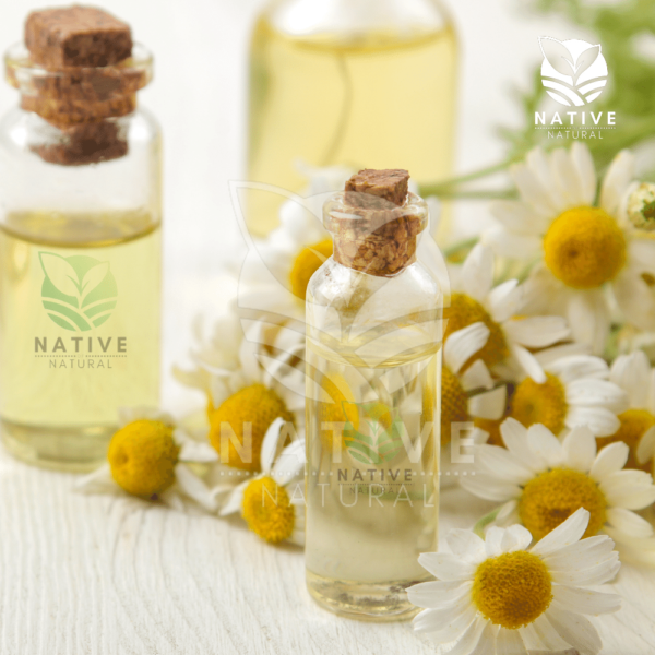 chamomile_essential_oil_native_of_natural