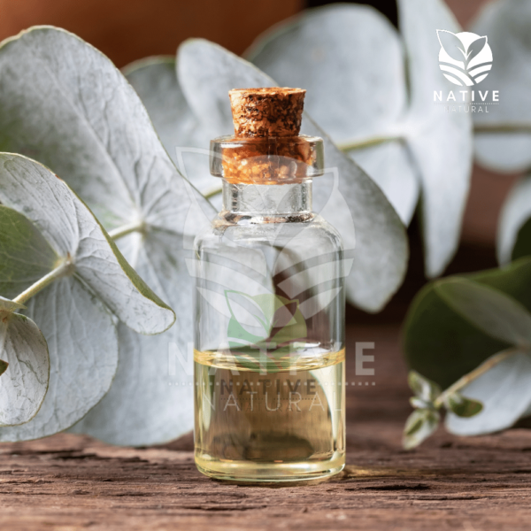 eucalyptus_essential_oil_native_of_natural