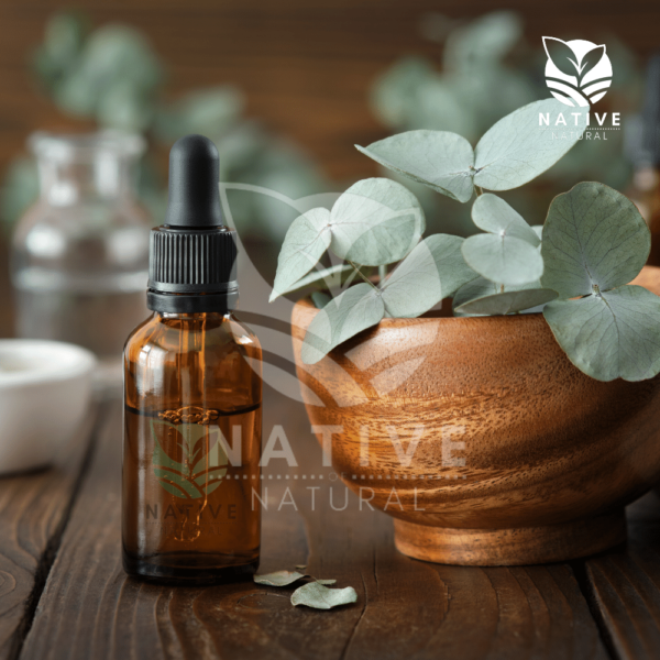 eucalyptus_essential_oil_native_of_natural