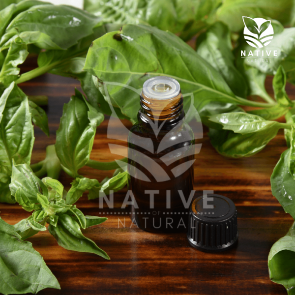 holy_basil_essential_oil_native_of_natural