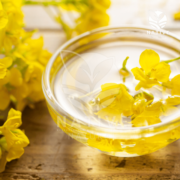 rapeseed_oil_native_of_natural