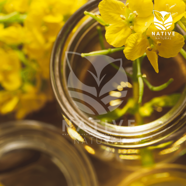 rapeseed_oil_native_of_natural