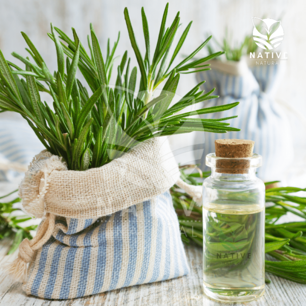rosemary_essential_oil_native_of_natural
