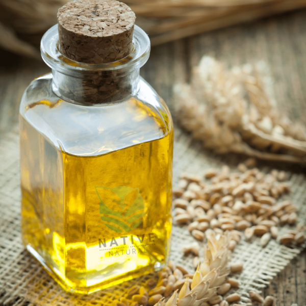 wheat_germ_oil_native_of_natural