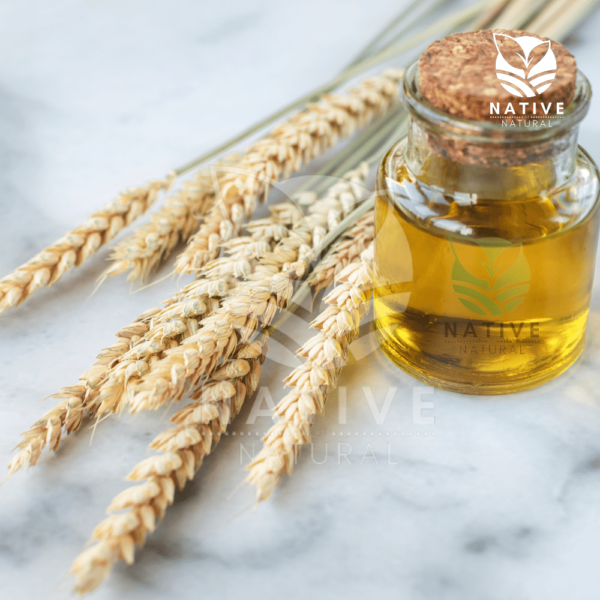 wheat_germ_oil_native_of_natural