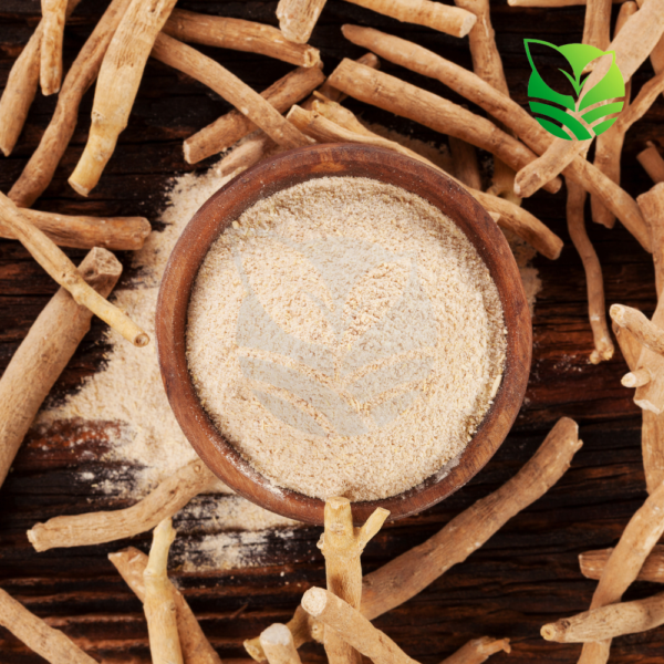 Ashwagandha_root_powder_native_of_natural