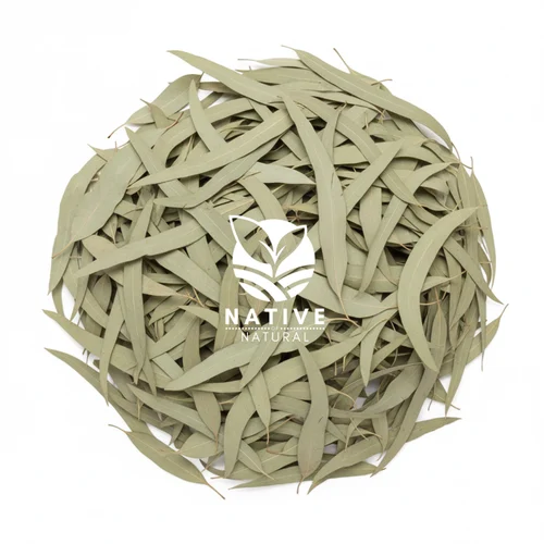 organic-eucalyptus-leaves-500x500